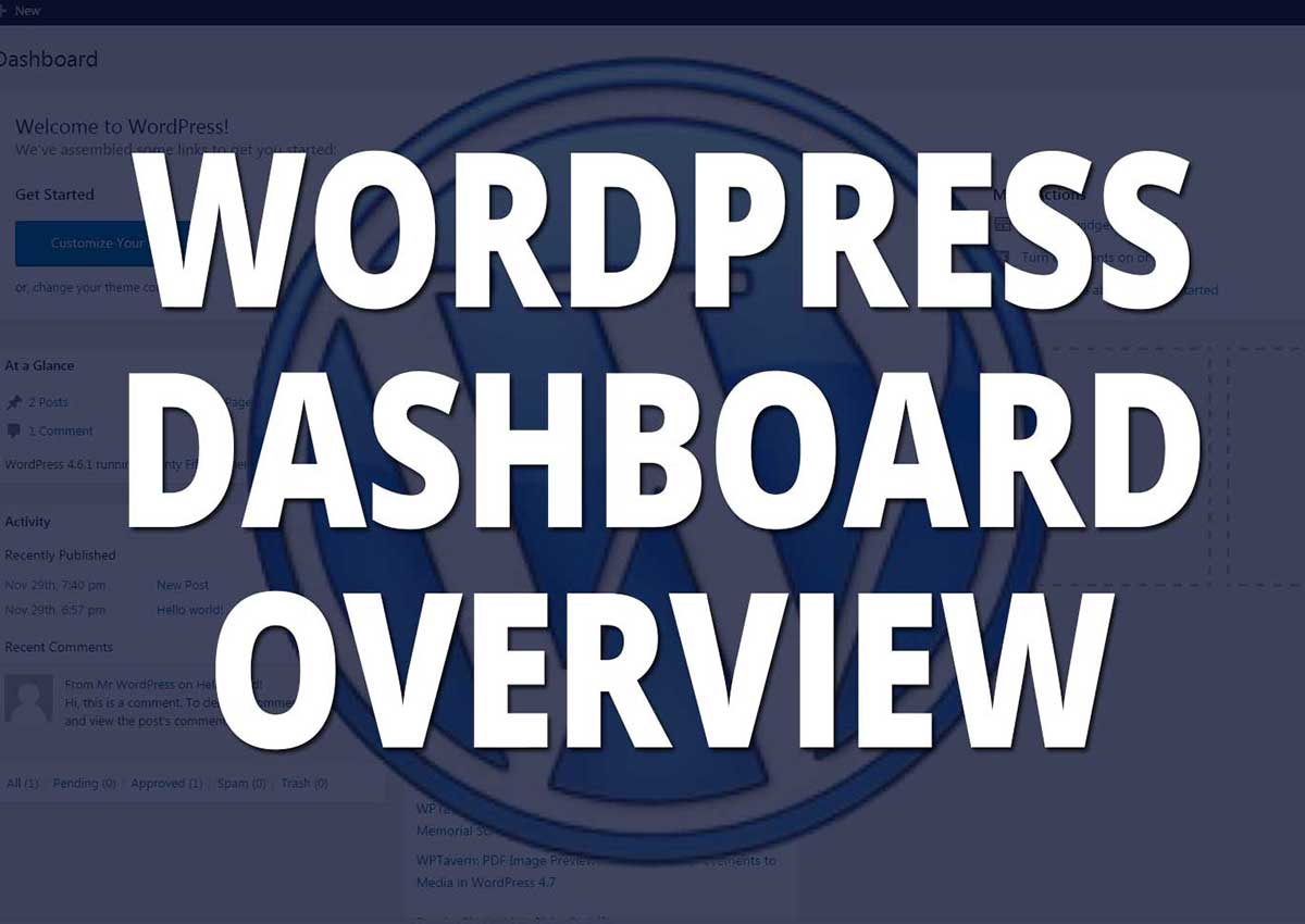 WordPress Dashboard Overview