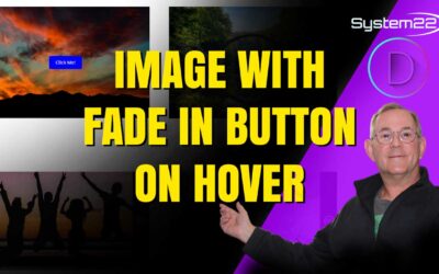 Divi Theme Image With Fade In Button On Hover