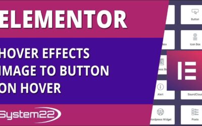 Elementor Hover Effects Image To Button On Hover