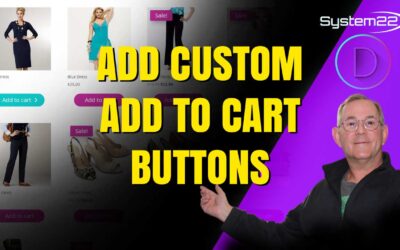 Divi Theme Tips How To Insert Add To Cart Buttons To Your Shop Page