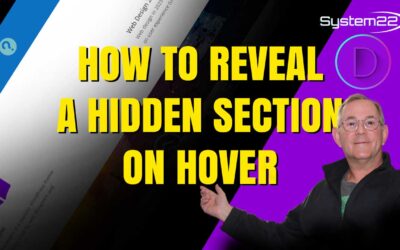 Divi Theme How To Reveal A Section On Hover