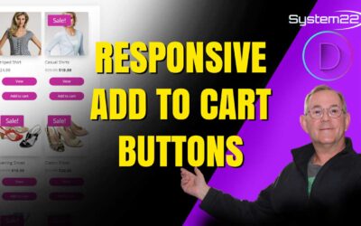 Divi Theme Responsive Woocommerce Add To Cart Buttons