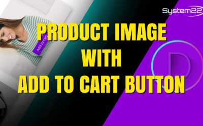 Divi Theme Product Image With ADD TO CART Button
