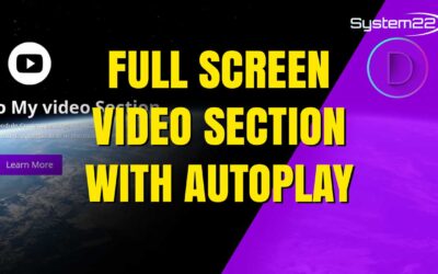 Divi Theme Full Width Full Screen Video Section With CTA
