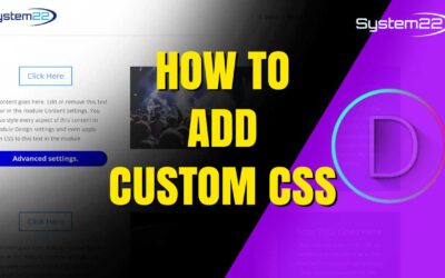 How to Add CUSTOM CSS to Divi Theme