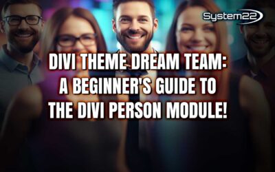 Divi Theme Dream Team: A Beginner’s Guide to the Divi Person Module!